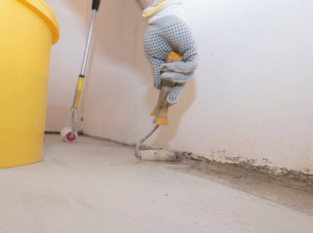 Best Termite Inspection and Treatment  in Union City, NJ